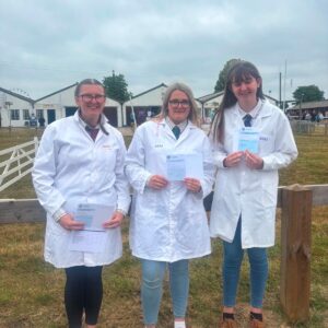 three stockjudging finalists