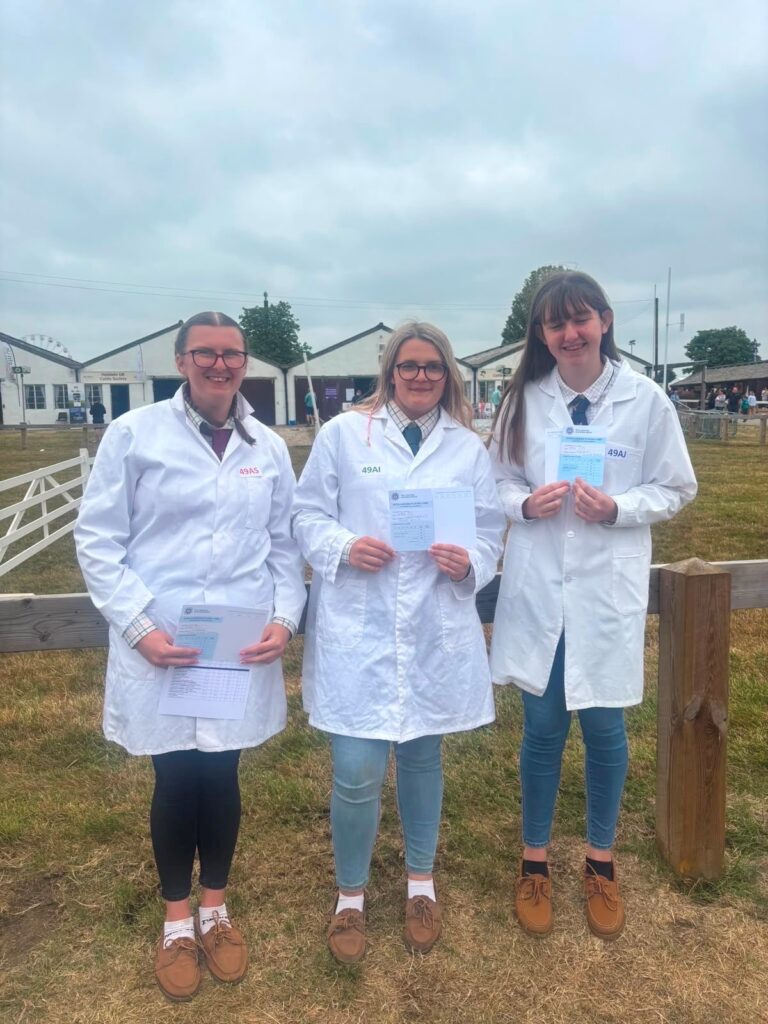 three stockjudging finalists